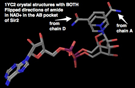 1YC2.AB.flipped.amide.jpg