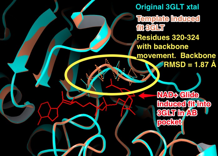 Backbone_RMSD_between_template_induced_fit_3GLT_and_3GLT_xtal_residues_320-324.jpeg