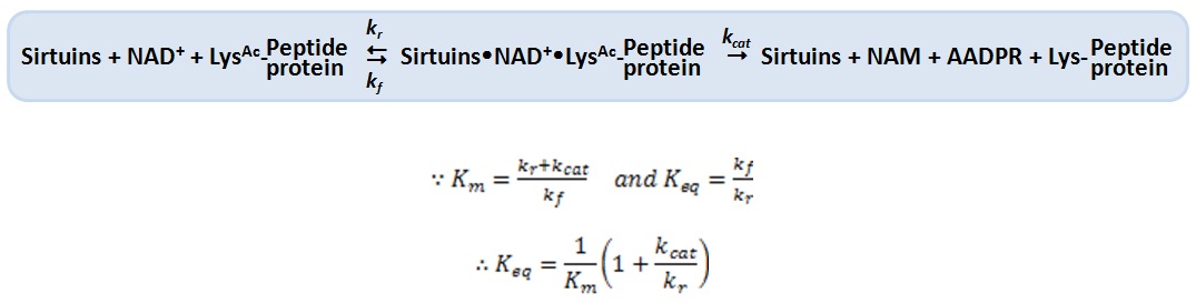 Deacetylation chemistry 2.jpg