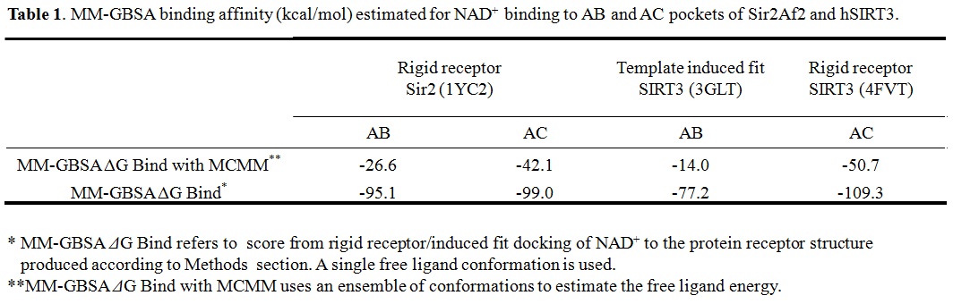 MM-GBSA scores_Sir2 and SIRT3.jpg