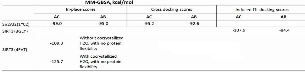 MMGBSA scores.jpg