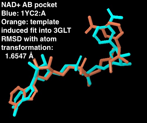 NAD_RMSD_between_1YC2_A_and_3GLT_AB_with_transformation.jpeg