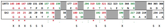 Residues_in_ligand_interaction_diagram_comparing_SIRT3_to_1YC2.jpeg