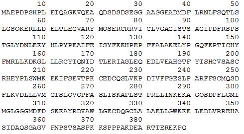 SIRT2 sequence.JPG