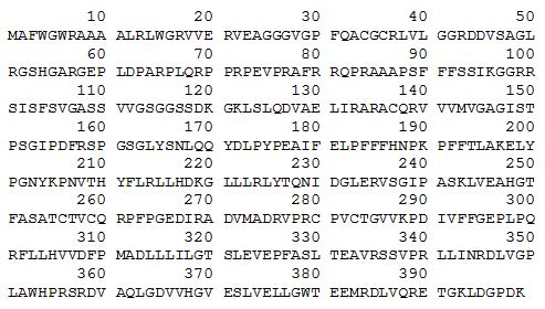 SIRT3 sequence.JPG