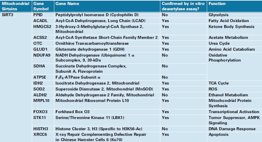 SIRT3 substrate.jpg