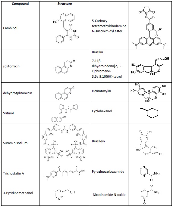 small molecule.jpg